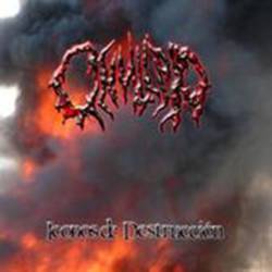 Iconos de Destrucción